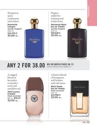 Avon campaign 18 2023 view online page 73